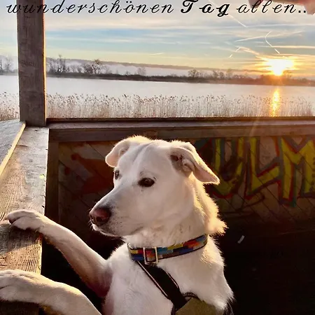 Hanna Privatunterkunft