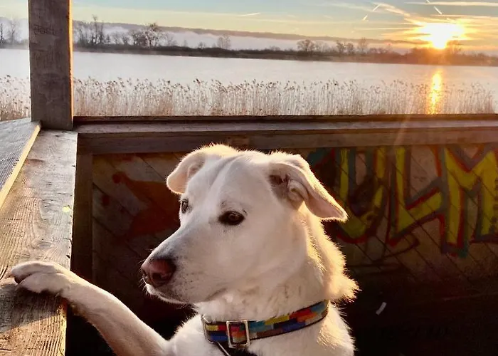 Hanna منزل للإقامة